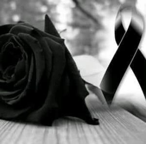 Meet your Posher, Olga